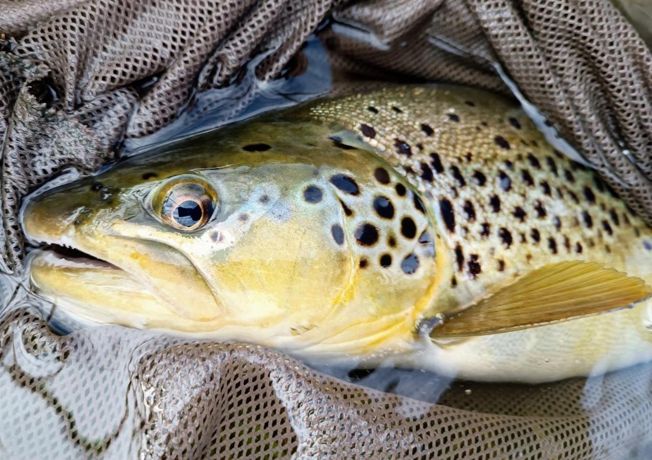 Krka River Lodge Znojile pri Krki Zewnętrze zdjęcie